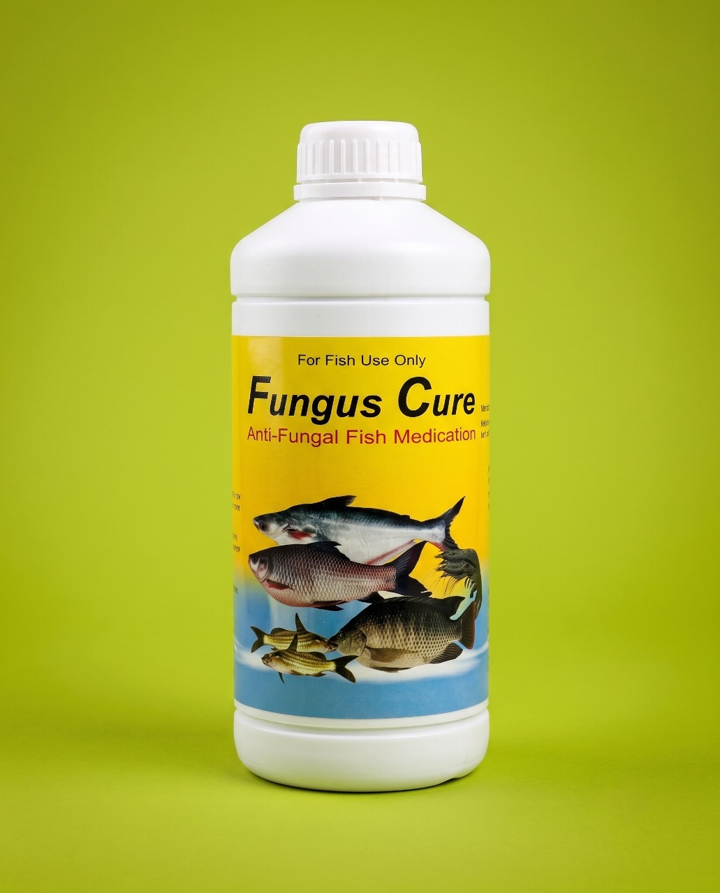 A white bottle labeled "Fungus Cure Anti-Fungal Fish Medication" with images of fish on a yellow background, placed against a green backdrop.