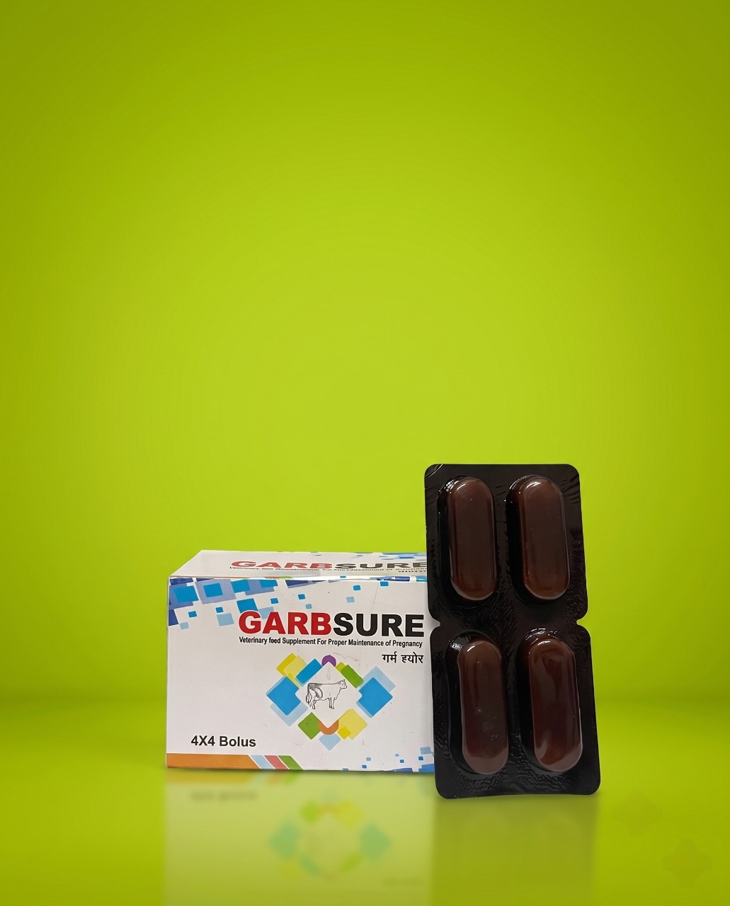 Garbsure Veterinary Feed Supplement for Fertility, Pregnancy Maintenance, and Reproductive Health in Cattle, Buffaloes, Camels, Goats, Sheep, and Calves by Pace Agrovet