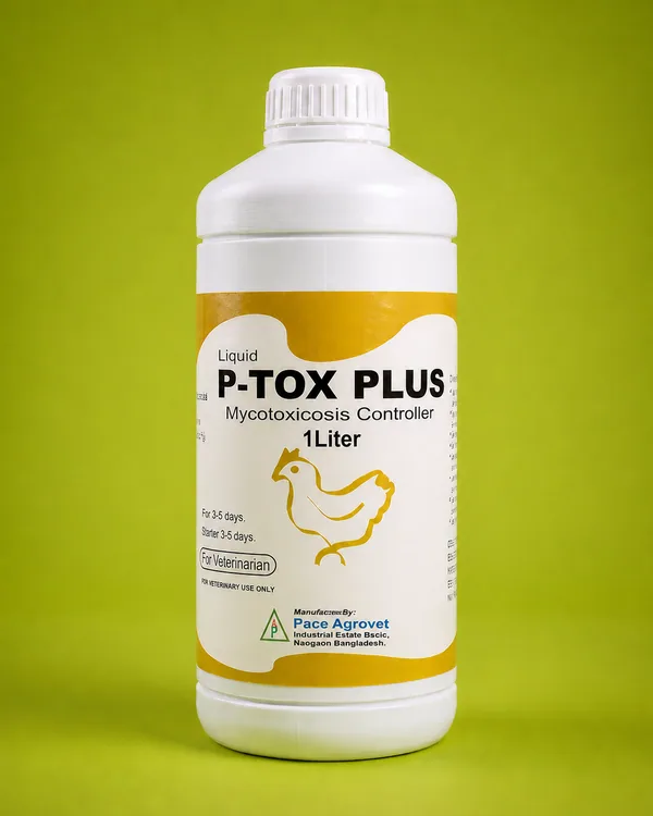 A 1-liter bottle of P-Tox Plus Lite, featuring a sleek design and clear labeling for easy identification.