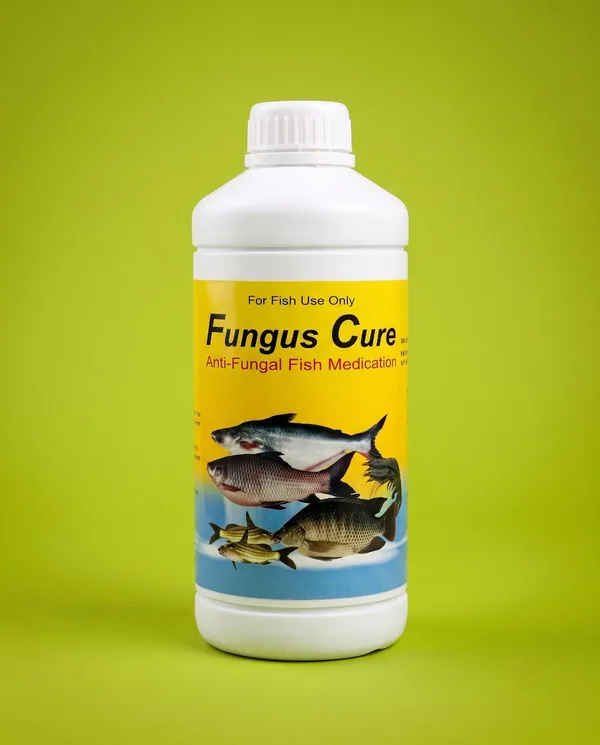 A white bottle labeled "Fungus Cure Anti-Fungal Fish Medication" with images of fish on a yellow background, placed against a green backdrop.